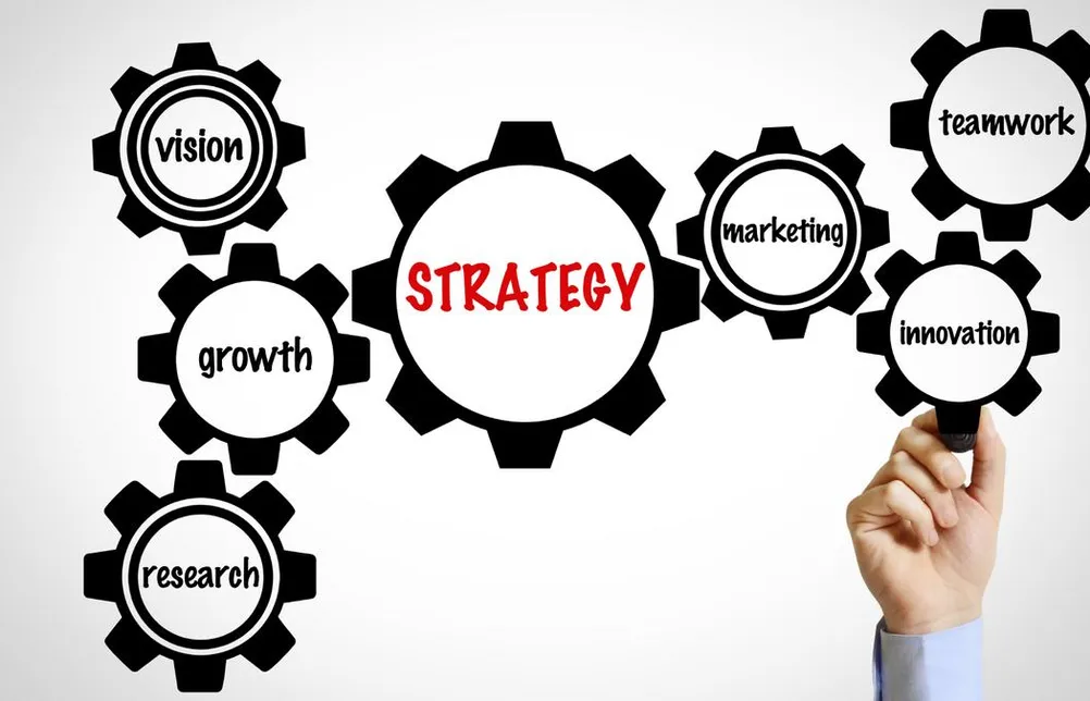 Doświadczeni trenerzy